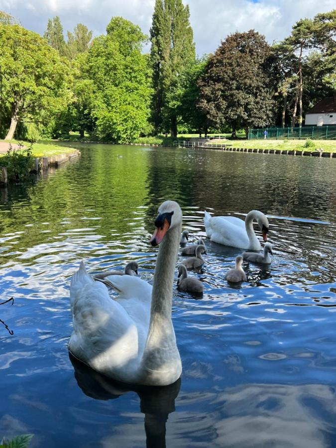 Beddington Park Lodge East Валингтон Экстерьер фото