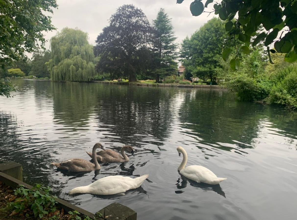 Beddington Park Lodge East Валингтон Экстерьер фото