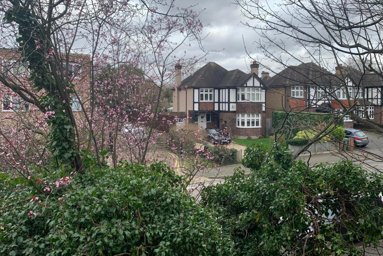Beddington Park Lodge East Валингтон Экстерьер фото